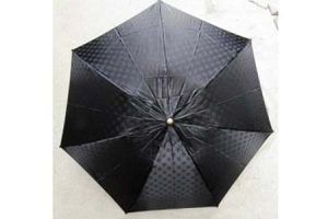 umbrella1