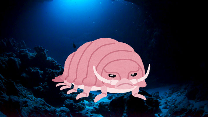 話題の深海生物「オオグソクムシ」が飼える！