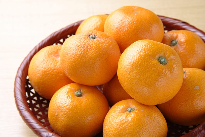 フルーツ（柑橘類・いちごなど）