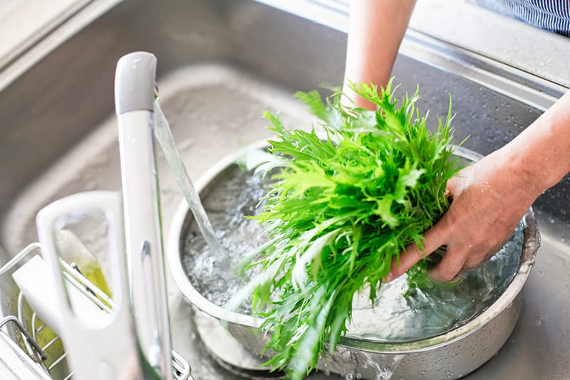 水菜の栄養を効果的に取り入れる調理法