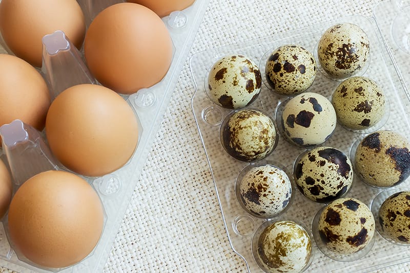 徹底比較！卵の色や種類によって栄養は違う？