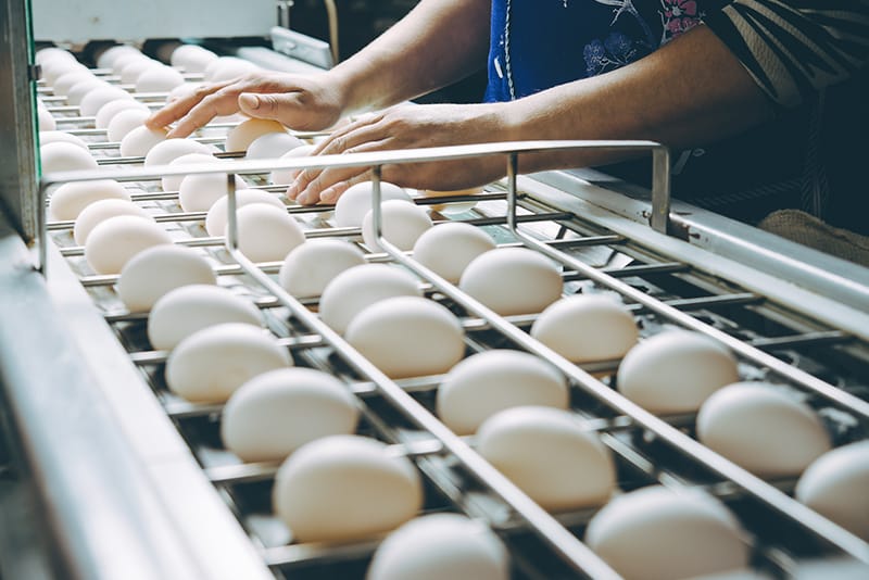 卵の賞味期限はどうやって決まる？基準を解説