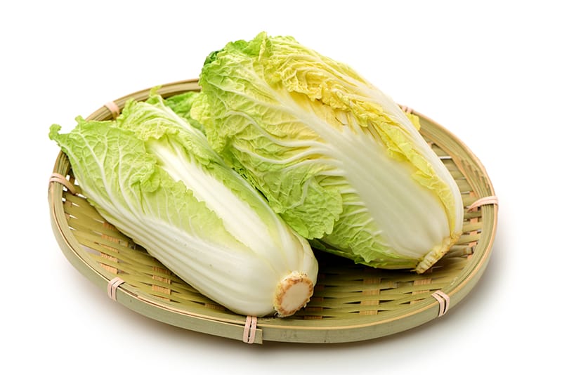 白菜の常温保存の方法