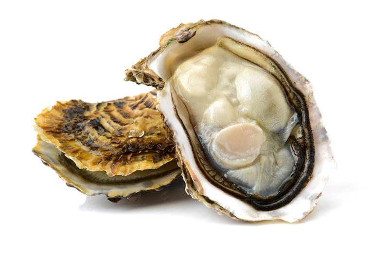 牡蠣に多く含まれる栄養成分の特徴