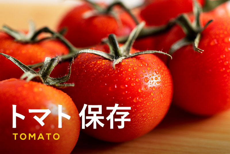 【トマトの保存】常温・冷蔵・冷凍のやり方や保存のポイントを解説