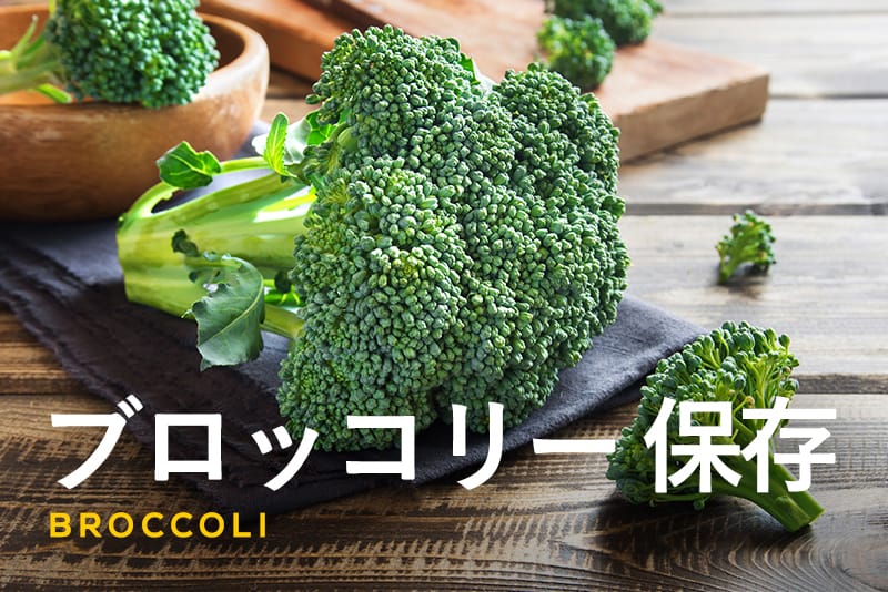 【冷蔵？冷凍？】ブロッコリーの鮮度を保つ保存方法を紹介！