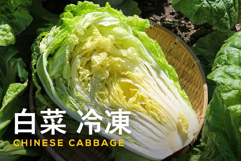 【白菜の冷凍】白菜を冷凍保存する方法とメリット・レシピを紹介