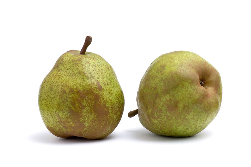 西洋梨の種類3選と特徴