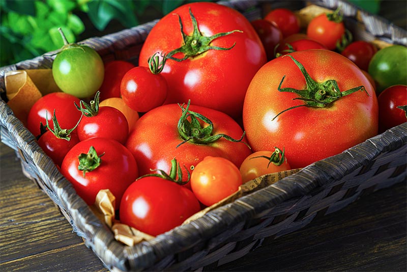 トマトの栄養や食べ方についてのQ＆A