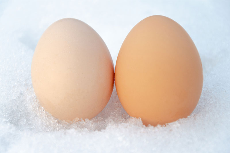 冷凍卵の保存期間