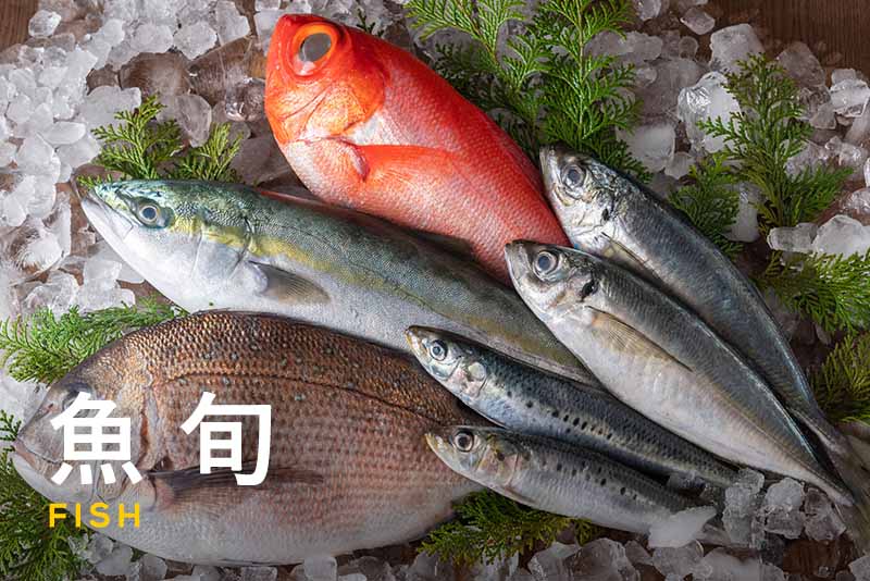 今美味しい魚を知りたい！季節ごとの魚の旬や旬の魚を食べるメリットを紹介