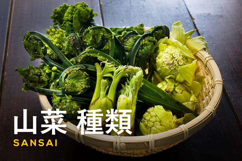 山菜の種類と特徴・おすすめの食べ方｜下処理の方法とレシピも解説
