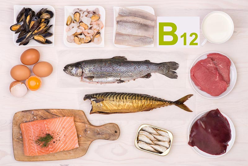 ビタミンB12を多く含む動物性の食べ物