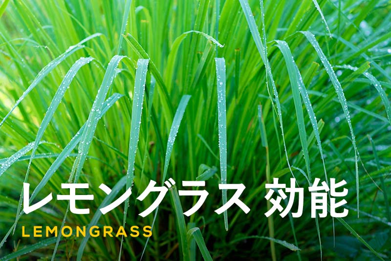 レシピのヒント