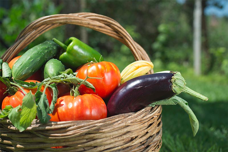 旬の夏野菜を食べるメリットは？