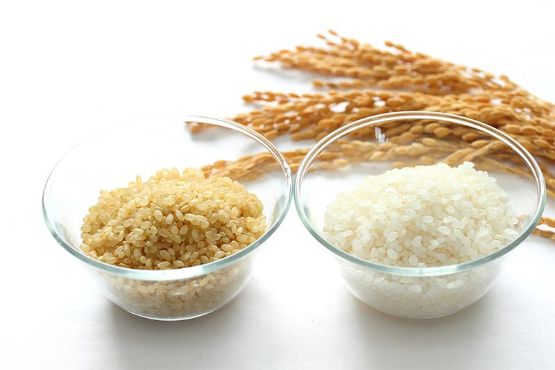 種類別にみるお米の特徴