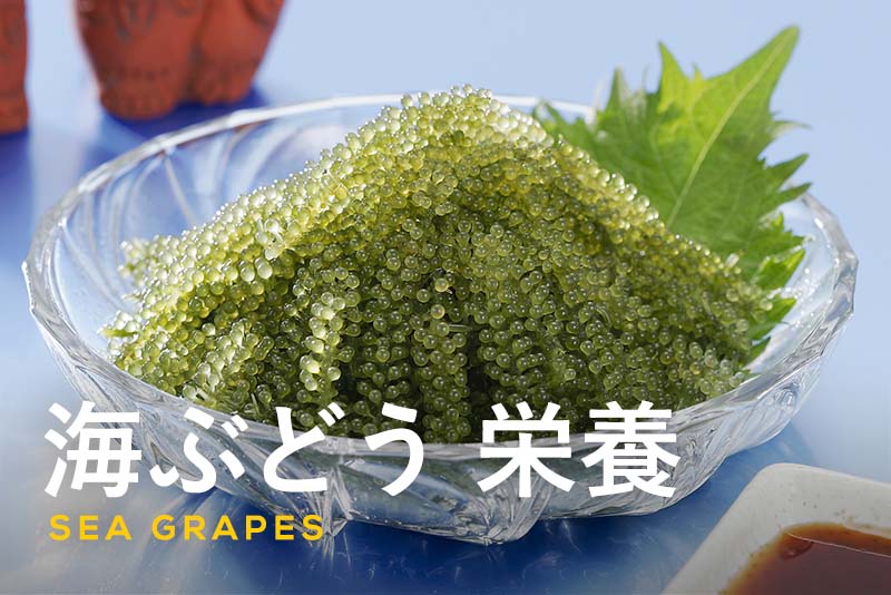 海ぶどうに含まれる栄養を解説！鮮度を保つ保存方法や美味しい食べ方を解説