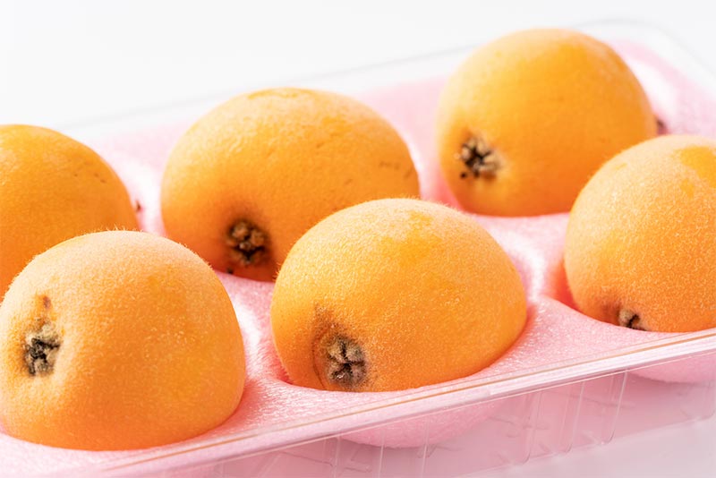 びわの食べ方の幅が広がるレシピ