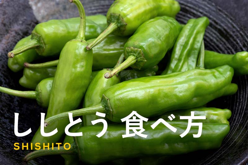 ししとうの食べ方｜下ごしらえの方法と人気レシピを解説