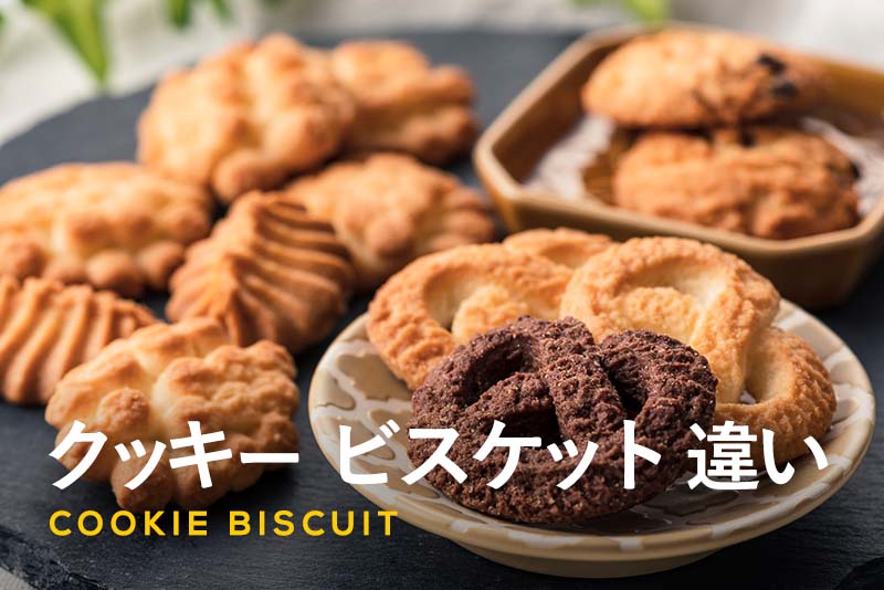 クッキーとビスケットの違いが丸わかり！サブレやクラッカーなど似たお菓子も解説