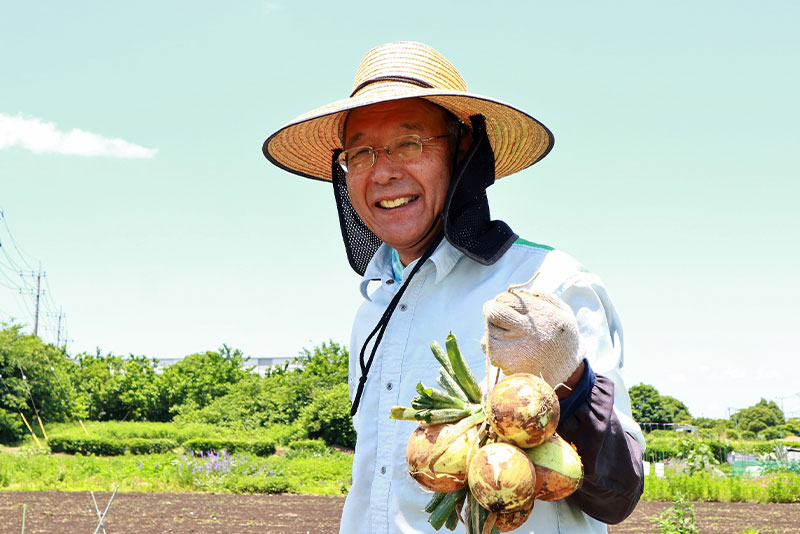 玉ねぎ収獲における注意点とよくあるトラブル