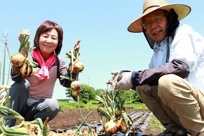 玉ねぎの栽培・収穫を成功させるためのポイント