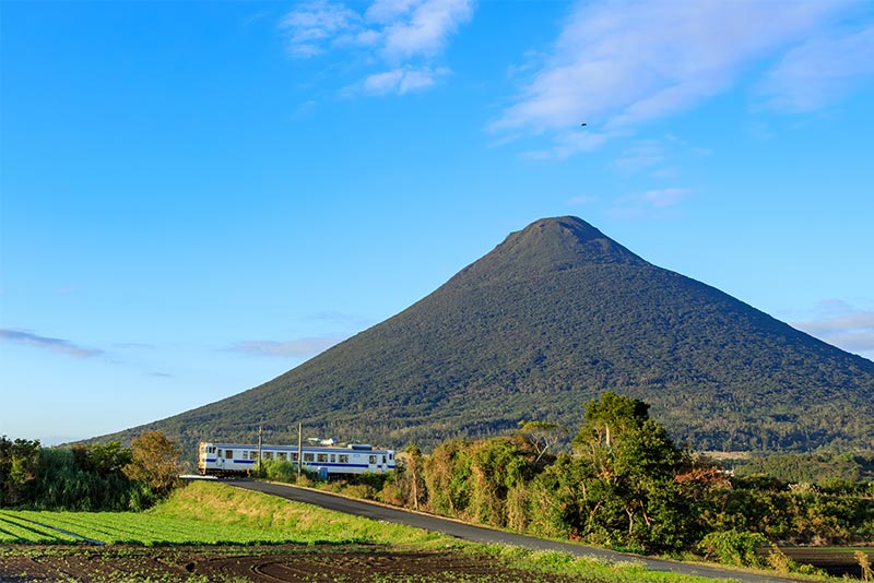 紅はるかの産地ランキング