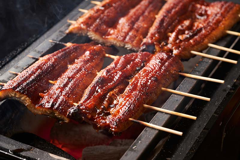 養殖のうなぎと天然のうなぎの違い