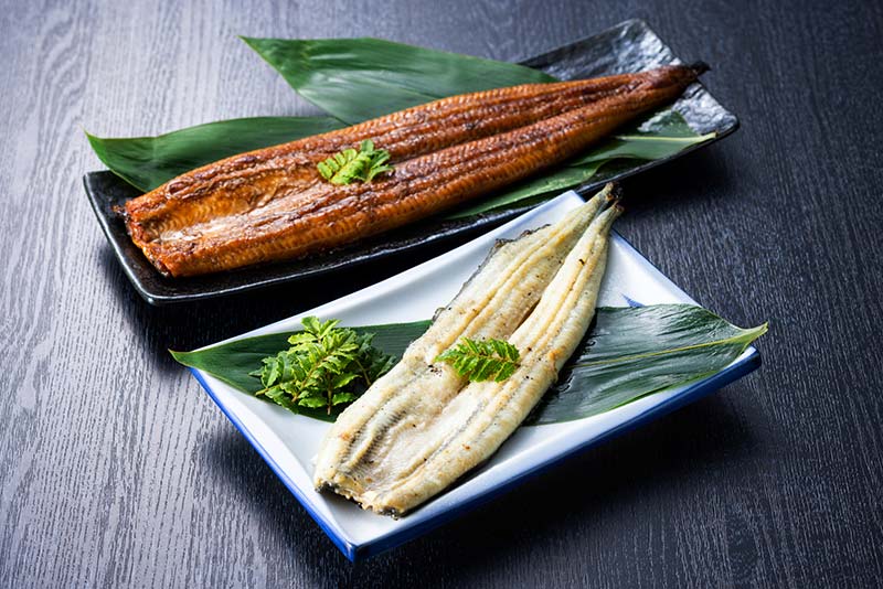 食用うなぎの種類