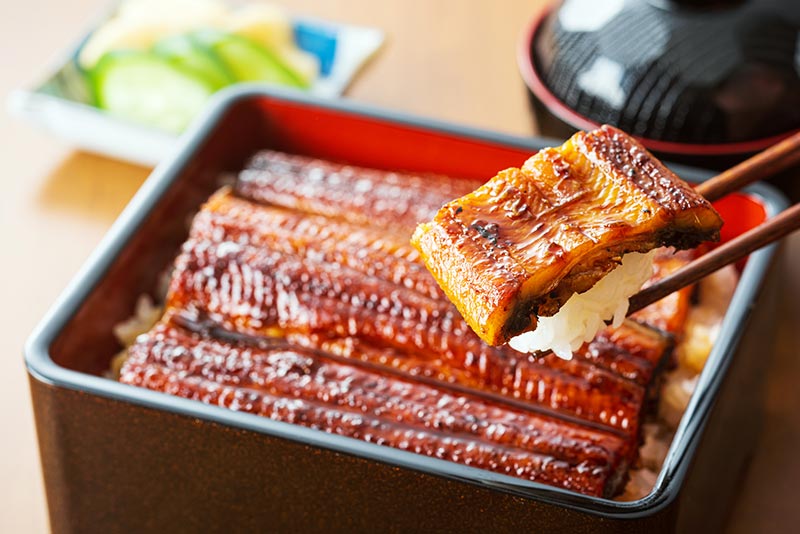 うなぎの選び方