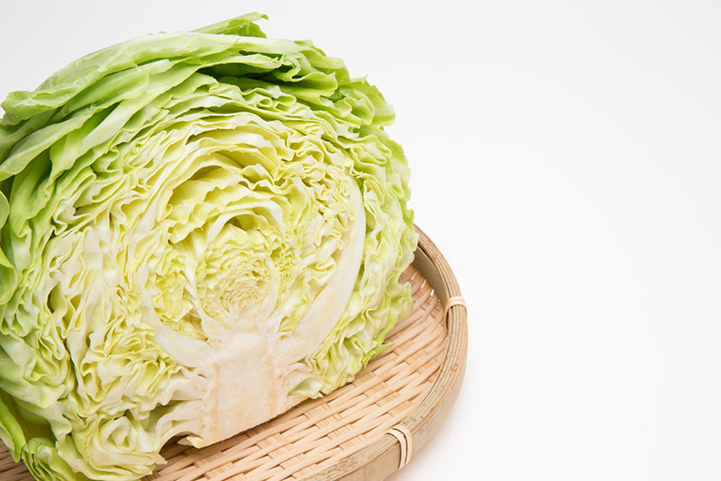 キャベツの産地ごとの特徴:それぞれの魅力を知る