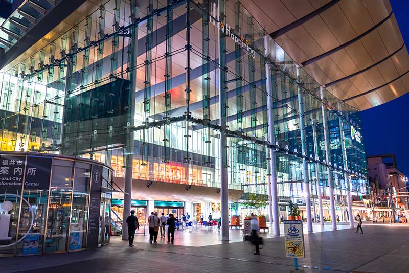 福井グルメ旅をさらに満喫するためのヒント