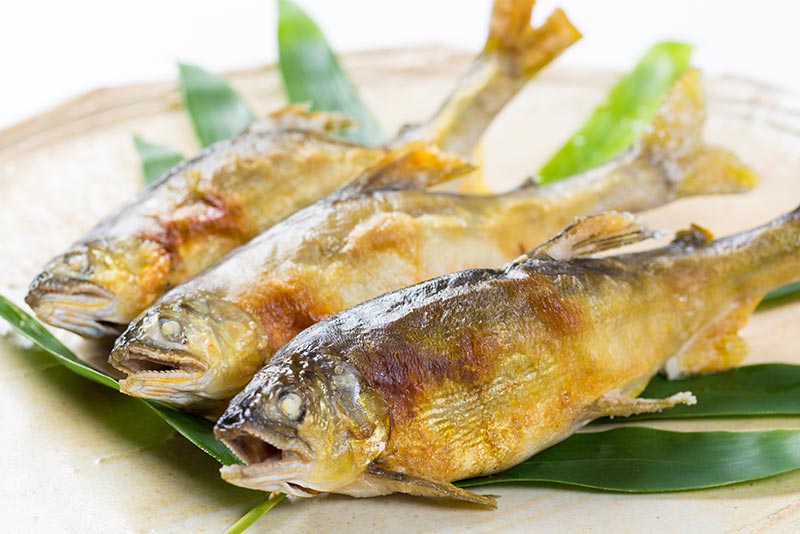 清流の恵み!絶品鮎料理
