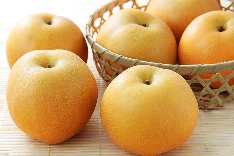 梨の生産に適した土地の条件