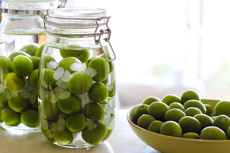 梅酒作りに適した時期と作り方のポイント