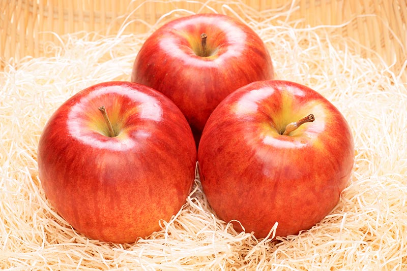 つがる：夏の終わりを告げる早生品種