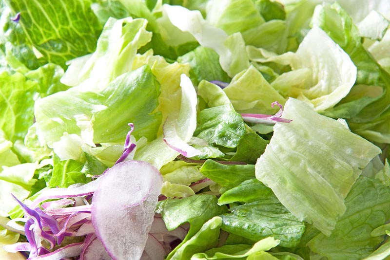 おいしいレタスを選ぶための見分け方と保存方法