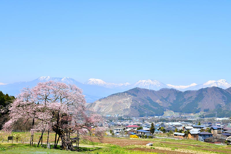 長野の自然が育む旬の食材を堪能する