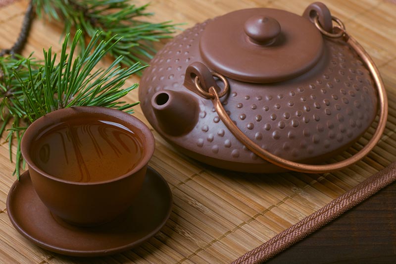 松葉茶を飲む際の注意点は？