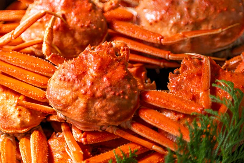 安全においしく食べるためのポイント