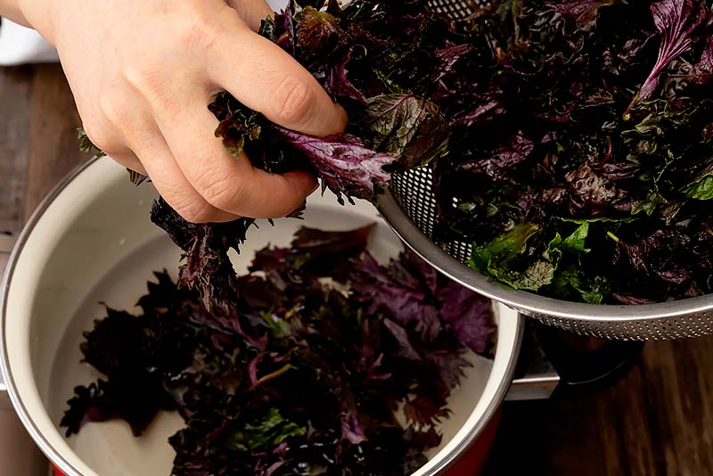 りんご酢でスッキリ感アップ！しそジュースの作り方