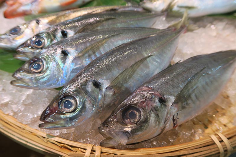 海の恵みを味わう長崎の魚介グルメ
