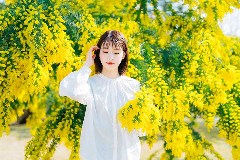 3月8日は「国際女性デー｜ミモザの日」