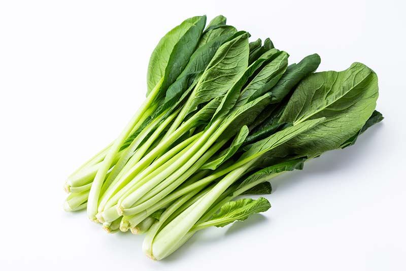 小松菜の栄養を損なわない保存方法