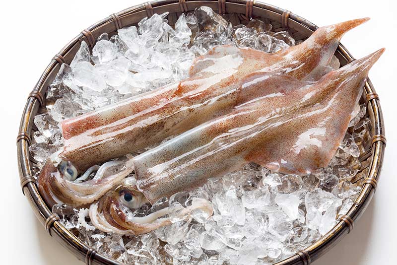 タウリン摂取の目安量と注意点