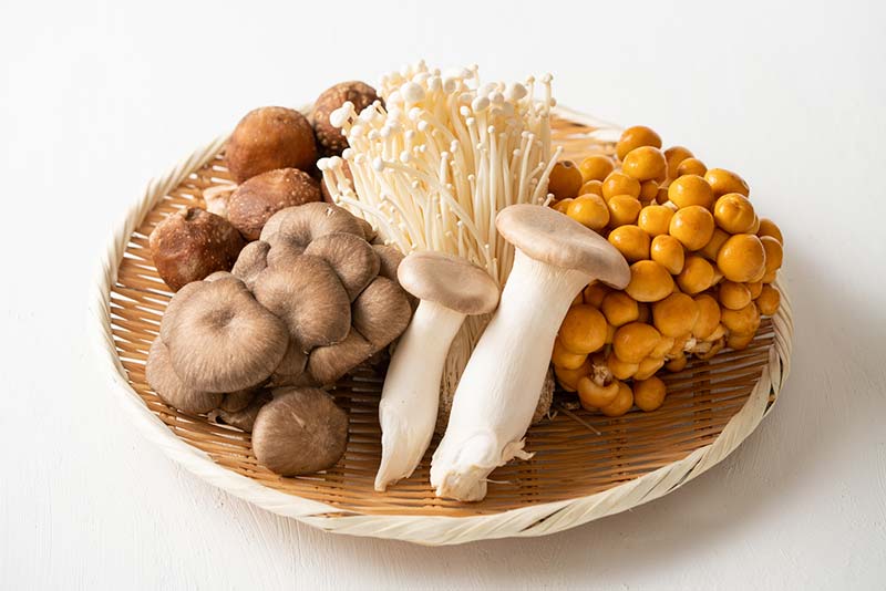 ハヤシライスにおすすめの変わり種具材【野菜・きのこ編】