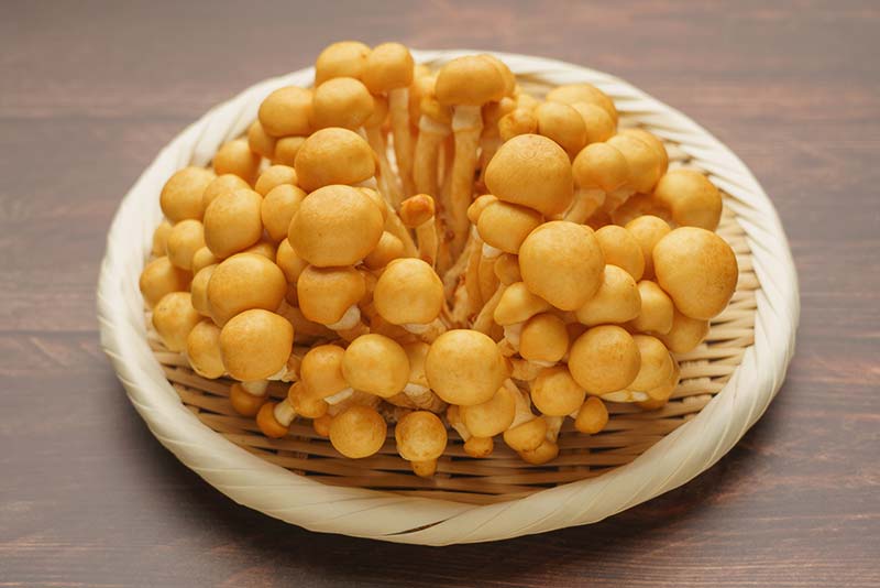 なめこの賞味期限