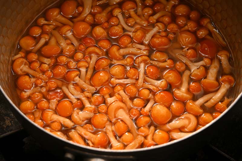 なめこの下処理方法