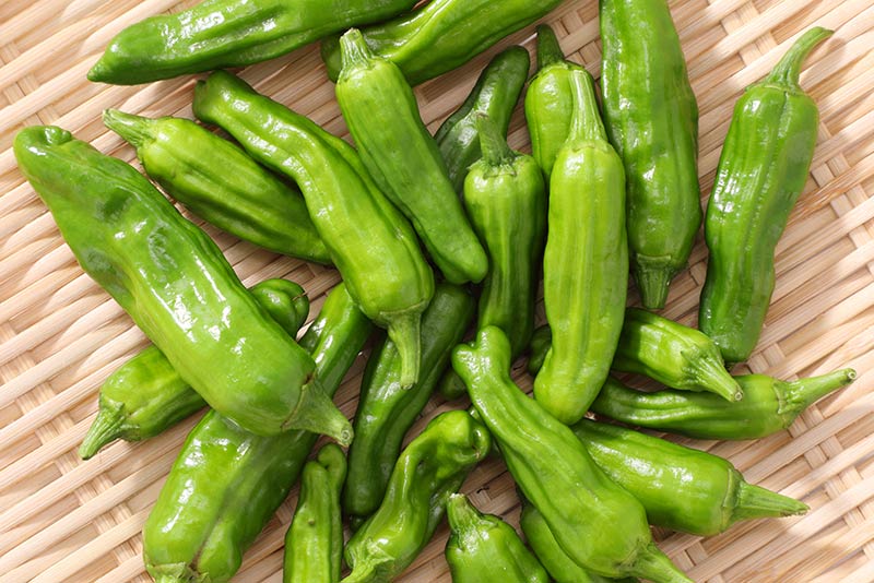 ししとうの栄養価と健康効果