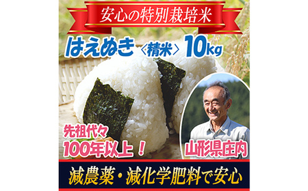 【令和5年産米】特別栽培米 はえぬき 精米10kg 山形県庄内 農薬5割減 F2Y-3668